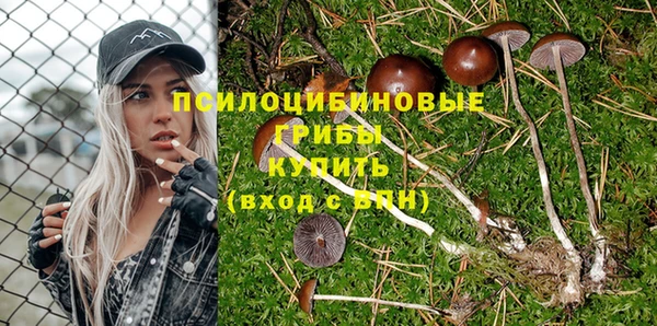 дурь Балабаново